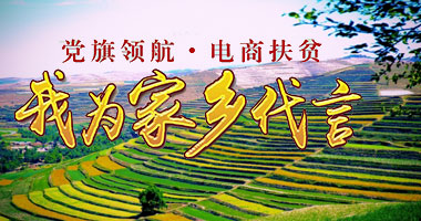 美村扶贫